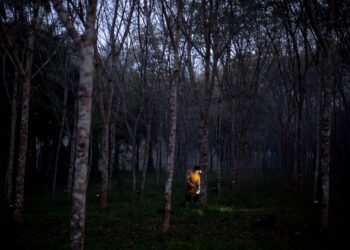 DALAM buku A Century of Seremban diceritakan mengenai kelaziman pengurus ladang menjalin hubungan dengan pekerja ladang. – AFP