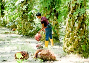 EKSPORT minyak sawit dan produk-produk berasaskan minyak sawit telah membantu negara dalam berhadapan krisis ekonomi akibat pandemik Covid-19. – UTUSAN/MUHAMAD NAZREEN SYAH MUSTHAFA