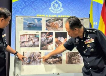 JAUTEH Dikun (kanan) bersama Ketua Polis Daerah Kudat, Superitendan Mohd. Haris Ibrahim (kiri) menunjukkan hasil laut yang dirampas di perairan Kudat baru-baru ini