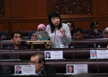 LIM Hui Ying pada sesi pertanyaan-pertanyaan bagi jawab lisan di Dewan Negara hari ini. -GAMBAR JABATAN PENERANGAN MALAYSIA