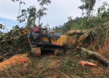KEADAAN lokasi seorang lelaki Indonesia maut selepas ditimpa pokok balak dalam kejadian di matau balak Kuala Betis, Gua Musang, Kelantan semalam-IHSAN PDRM.