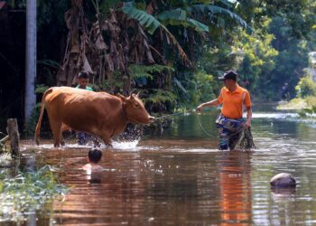 JAJAHAN Tumpat, Kelantan menjadi kawasan terbaru yang ditenggelami banjir semalam menyaksikan penduduk mula berlindung ke pusat pemindahan sementara.-UTUSAN/KAMARUL BISMI KAMARUZAMAN.