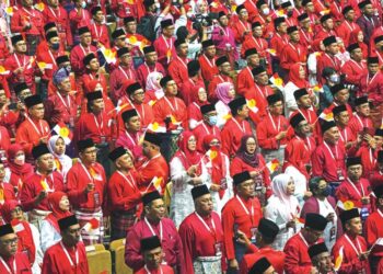 UMNO masih membawa perjuangan sama untuk orang Melayu malah Kerajaan Perpaduan memberi ruang yang luas untuk meneruskan agenda itu.