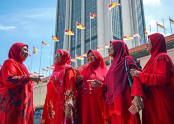 TERSERAH kepada pemimpin dan ahli UMNO untuk memulihkan kembali imej parti itu sebagai berwajah sederhana dan berjuang untuk seluruh rakyat. - UTUSAN/AMIR KHALID