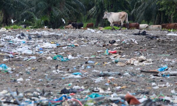 Sampah haram