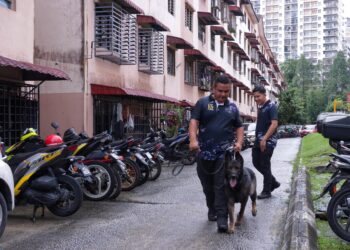 SEEKOR anjing pengesan dari Unit Anjing Pengesan (K9) Polis Diraja Malaysia (PDRM) selesai melakukan pemeriksaan di Apartmen Idaman, Damansara Damai.