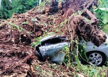KEADAAN kereta mangsa yang maut selepas dihempap pokok di Jalan Bukit Belacan, Kampung Lembah Jaya Utara kelmarin.