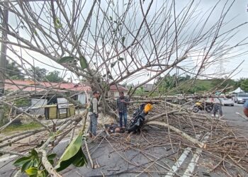 KEADAAN penunggang motosikal dihempap pokok di Jalan Jenderam Hulu - Salak Tinggi. - UTUSAN/FAISOL MUSTAFA