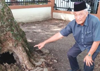 MEOR Harun Meor Osman menunjukkan kerosakan pada pokok gerah tertua di Malaysia yang sudah berlubang pada bahagian pangkalnya di lokasi pokok itu ditanam di Kuala Kangsar. - UTUSAN/OLEH SAYED HESHAM IDRIS
