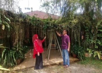 SITI KHADIJAH Mamat dan suaminya, Mamat Mat Hasan memeriksa pokok hiasan yang ditanam di halaman rumahnya di Taman Bukit Murtaja, Batu 23, Hulu Terengganu, semalam. - UTUSAN/NOOR HAYATI MAMAT