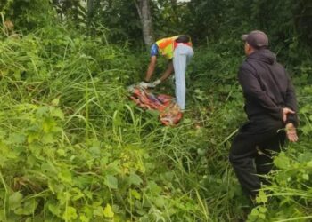 MANGSA tercampak ke dalam semak dan maut di tempat kejadian setelah terlibat kemalangan di Kampung Dalam Wang, Jalan Baling-Weng-Tanjung Pari di Baling.