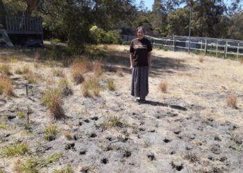 KATHELEEN Murray berdiri di kawasan laman rumahnya yang dinobat paling hodoh di dunia di Sandford, Australia.-AGENSI