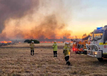 ANGGOTA bomba dan penyelamat memantau kebakaran hutan di Perth, Australia.-AFP