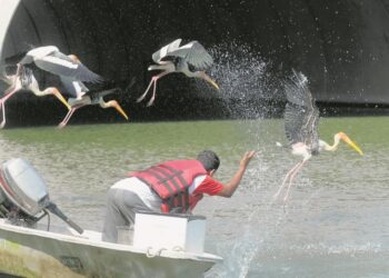 PUTRAJAYA Wetland boleh menjadi lapangan untuk pendidikan masyarakat daripada pelajar sekolah hingga orang dewasa.