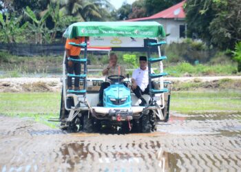 AL-SULTAN Abdullah Ri’ayatuddin Al-Mustafa Billah Shah (tengah) mengawal jentera tanaman padi sambil diiringi oleh Mohamad Sabu (kanan) di Kumpulan Pengguna Air (KPA) Permatang Durian, skim Merchong di Pekan, Pahang. - UTUSAN/SHAIKH AHMAD RAZIF