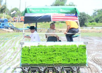 AL-SULTAN Abdullah Ri’ayatuddin Al-Mustafa Billah Shah (tengah) mengawal jentera tanaman padi sambil diiringi oleh Mohamad Sabu di Kumpulan Pengguna Air (KPA) Permatang Durian, skim Merchong di Pekan, Pahang semalam. – UTUSAN/SHAIKH AHMAD RAZIF