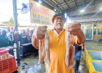 Roslan Abd. Razak menunjukkan sotong besar yang dijual dengan harga RM38 sekilogram di kedainya di Tikam Batu, Kedah, semalam.