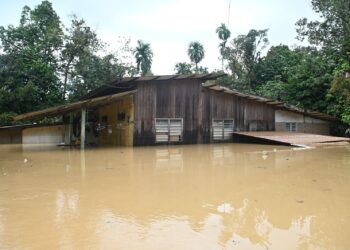 KEADAAN sebuah rumah penduduk yang ditenggelami air banjir besar di Kampung Belimbing, Hulu Dungun, semalam. - UTUSAN/PUQTRA HAIRRY ROSLI