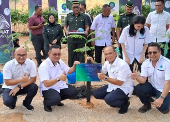 WAN ROSDY Wan Ismail (depan, dua dari kanan) menunjukkan pokok spesies Albizia yang ditanamnya sempena Pelancaran Projek Penghutanan Semula Hutan Simpanan Kekal di Raub, Pahang. - UTUSAN/SALEHUDIN MAT RASAD