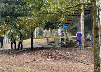 ANGGOTA Bahagian Siasatan Jenayah memeriksa kawasan kebun durian yang berlaku kes pembunuhan di Jalan Air Terjun Chamang di Bentong, Pahang. - FOTO/IPD BENTONG