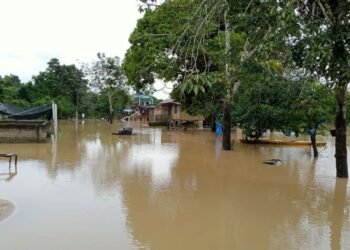 KEADAAN Kampung Seberang Batu Badak di  Segamat yang masih mengalami takungan air paya ‘piring’ atau banjir termenung mengakibatkan penduduk masih ditempatkan di PPS.