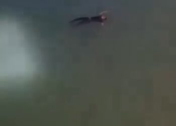 TANGKAP layar video dua mangsa masing-masing seorang lelaki dan wanita yang terjatuh ke laut selepas dipercayai berlaku pertengkaran antara mereka di Jambatan Pulau Pinang, petang semalam. - SUMBER MEDIA SOSIAL