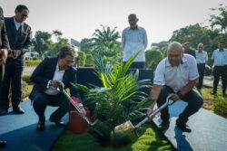 Kerajaan benar bawa masuk pekerja sektor perladangan
