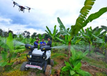 MOHD. Farid Daud (tengah) menunjukkan penggunaan dron bagi tujuan semburan pokok pisang pada Program Anak Muda Menerajui Ladang Integrasi Moden di Labu Hilir, Seremban hari ini.-UTUSAN/MOHD. SHAHJEHAN MAAMIN.