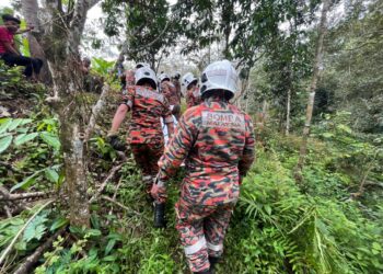 ANGGOTA JBPM Pasir Puteh berusaha membawa keluar mayat mangsa yang terjatuh dari pokok pada ketinggian 20 meter dalam kejadian di Kampung Gong Anak Nyor, Telosan, Pasir Puteh, Kelantan-IHSAN BOMBA