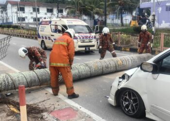 ANGGOTA Balai Bomba dan Penyelamat Jelebu memotong pokok yang tumbang dan menimpa kereta Perodua Alza di pekan Kuala Klawang di Jelebu petang tadi.-UTUSAN/NAZARUDIN SHAHARI.