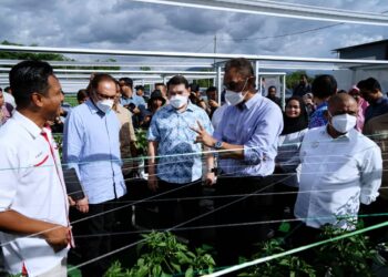 ANWAR Ibrahim (dua dari kiri) melawat tapak tanaman sayur di bawah projek IPR-INTAN NCER di Hospital Bahagia Ulu Kinta, Tanjung Rambutan dekat Ipoh hari ini. - UTUSAN/ZULFACHRI ZULKIFLI