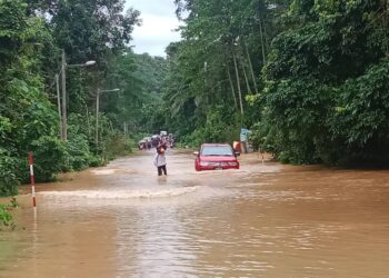 KEADAAN laluan Jerantut-Kuala Tahan yang dinaiki air Sungai Pahang  simpang Kampung Paya Garok, Jerantut, Pahang, minggu lalu. - UTUSAN/HARIS FADILAH AHMAD