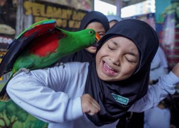 BURUNG Kakak Tua (Green Parakeet) mengusik seorang murid perempuan di Tadika Nurani Pintar, Semenyih.-UTUSAN/AMIR KHALID