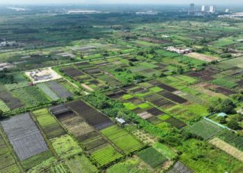 PEMANDANGAN dari udara kebun sayur yang diusahakan oleh warga asing di atas tanah seluas kira-kira 2,585.4 hektar di Kampung Johan Setia, Klang. – UTUSAN/SHIDDIEQIIN ZON