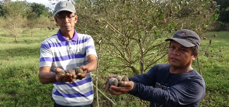 21 peserta projek limau langkat kerugian RM150,000