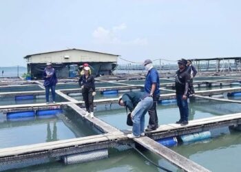 SEKTOR perikanan khususnya melibatkan akuakultur di Pulau Pinang tidak begitu terjejas meskipun turut berdepan ancaman El-Nino kerana pemantauan serta sesi libat urus sentiasa dilakukan secara berkala oleh Jabatan Perikanan Pulau Pinang.