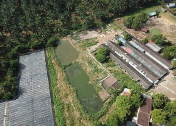 LADANG ternakan babi di Sungai Lembu, di Bukit Mertajam, Pulau Pinang diarahkan ditutup selepas ia didakwa menyebabkan pencemaran di Sungai Kulim dan Sungai Air Merah, Kedah.