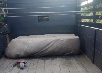 LORI yang digunakan untuk menyeludup diesel berjaya dirampas KDPN Kelantan dalam serbuan di Kampung Telaga Lanas, Pengkalan Kubor, Tumpat, Kelantan.