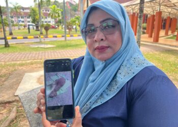 NIK Arnida Mohd. Ali menunjukkan lembu yang dirempuh empat beranak dan berkeliaran di jalan Gua Musang-Kuala Krai, dekat Rancangan Kemajuan Tanah (RKT) Kesedar Paloh 3, Gua Musang, Kelantan.-UTUSAN/AIMUNI TUAN LAH.