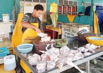 MOHD. Fikri Iskandar memotong ayam di kedainya di Kampung Tok Jiring, Kuala Nerus. - UTUSAN/TENGKU DANISH BAHRI TENGKU YUSOFF