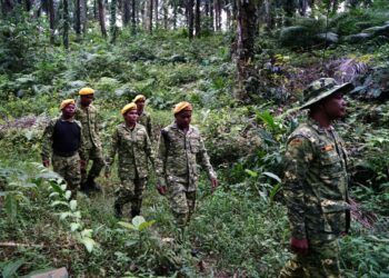 ANGGOTA RELA melakukan rondaan bagi mengesan tahanan yang lolos dari Depoh Imigresen Sementara Bidor di Kampung Sungai Kenoh, Tapah hari ini. - UTUSAN/ZULFACHRI ZULKIFLI.