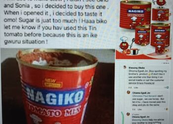 ULASAN negatif terhadap produk puri tomato yang dibuat Chioma Okoli di laman Facebook.-AGENSI