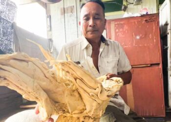 MAHAMUD Kechik menunjukkan objek yang didakwa muntah ikan paus yang ditemuinya di Pantai Kelulut, Marang, Terengganu, baru-baru ini.