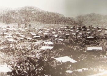 KAMPUNG Lurah Bilut yang menyaksikan kelahiran 
Lembaga Kemajuan Tanah Persekutuan (Felda) pada 
1959 wajar diangkat sebagai Tapak Warisan Dunia 
Pertubuhan Pendidikan, Sains dan Kebudayaan 
Pertubuhan Bangsa-Bangsa Bersatu (UNESCO)