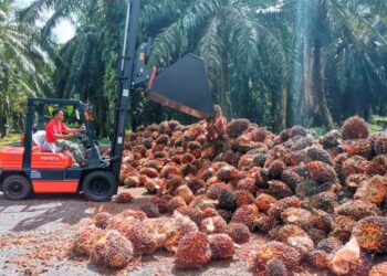 PIHAK berwajib sewajarnya mampu membuat penyelidikan dan pembangunan (R&D) dengan mencipta mesin atau jentera yang boleh memanjat, memotong buah sawit dan terus dibawa masuk ke dalam lori.