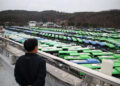 SEORANG pemandu melihat ratusan bas yang diletakkan di sebuah depoh akibat mogok di Seoul, Korea Selatan.-AGENSI