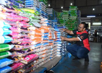 Kerajaan memutuskan untuk melaraskan Harga Beras Putih Import (BPI) dengan menurunkan harga jualan runcit di antara RM2 hingga RM3 di pasaran bagi pek 10 kilogram berkuat kuasa esok.