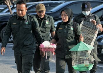 PEGAWAI Perhilitan membawa eksibit ke Mahkamah Sesyen Seremban hari ini.-UTUSAN/MOHD. SHAHJEHAN MAAMIN
