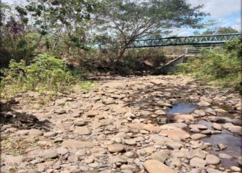 KEMARAU mengakibat Sungai Kampung Kalibungan, Kota Belud yang mengalami kekeringan.