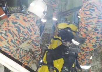 PASUKAN bomba berjaya mengeluarkan mangsa dari runtuhan konkrit. – ihsan JBPM JERANTUT